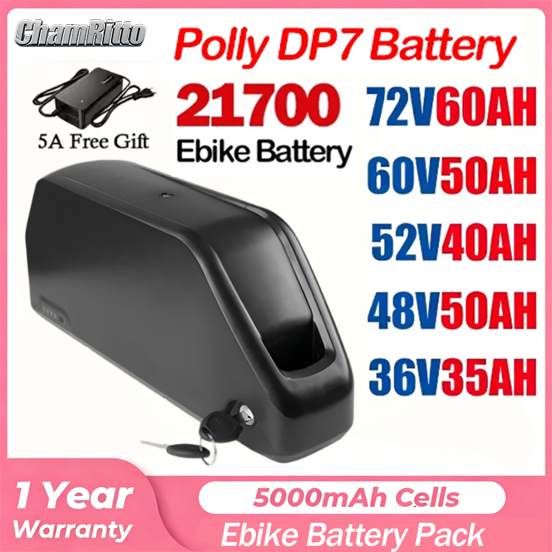 72V 40Ah Lifepo4 Battery Pack - Baterai Hailong Polly 52v50ah 48V 60V